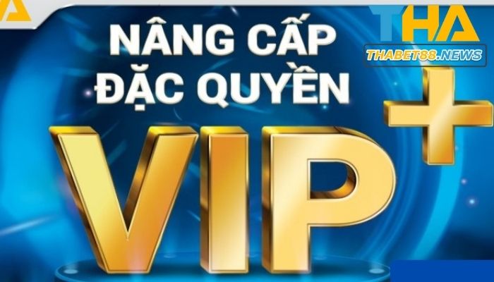 Độc quyền khách Vip.