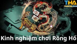 kinh nghiệm chơi rồng hổ