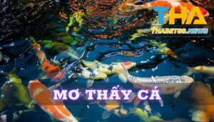 Mơ thấy cá là điềm gì? Giải mã giấc mơ cùng Thabet