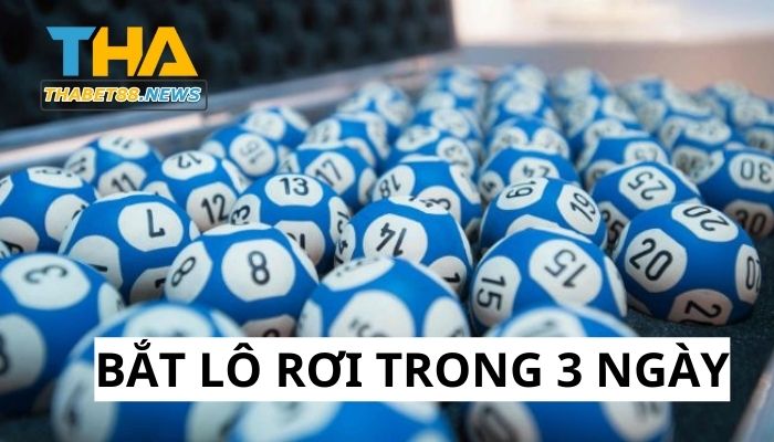 Bắt lô rơi trong 3 ngày liên tiếp